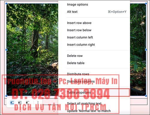 Cách&nbsp;thêm&nbsp;chú&nbsp;thích&nbsp;vào&nbsp;hình&nbsp;ảnh&nbsp;trong&nbsp;Google&nbsp;Docs