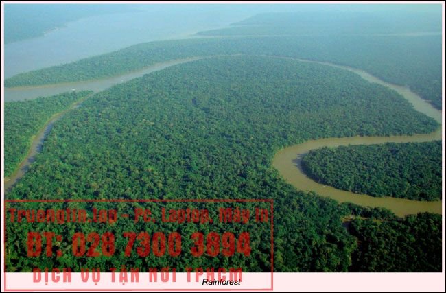 Cách&nbsp;thêm&nbsp;chú&nbsp;thích&nbsp;vào&nbsp;hình&nbsp;ảnh&nbsp;trong&nbsp;Google&nbsp;Docs