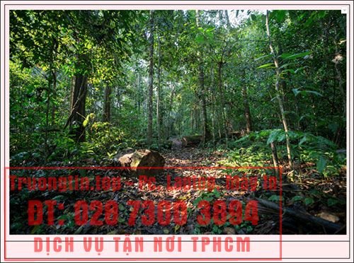 Cách&nbsp;thêm&nbsp;chú&nbsp;thích&nbsp;vào&nbsp;hình&nbsp;ảnh&nbsp;trong&nbsp;Google&nbsp;Docs