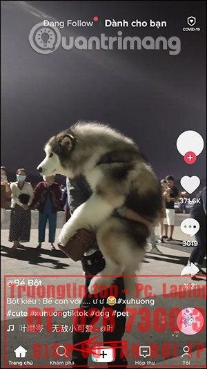 Cách quay video filter Công chúa chạy trốn trên TikTok