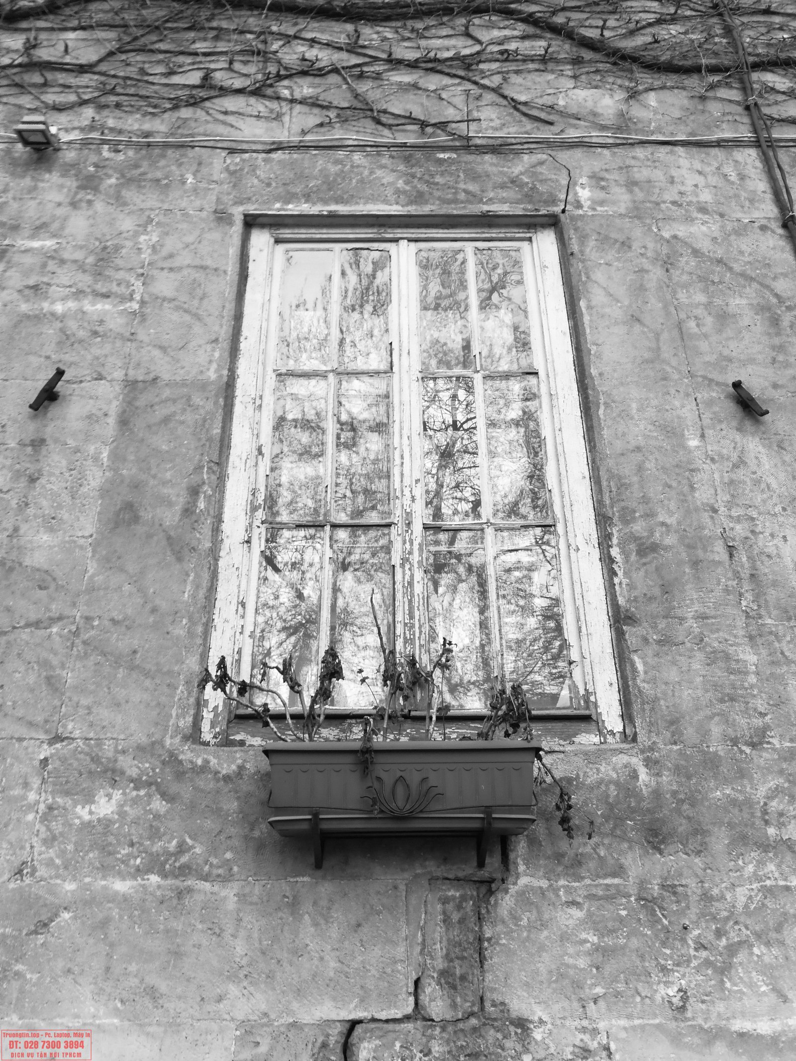 Google&nbsp;Photos&nbsp;hoạt&nbsp;động&nbsp;như&nbsp;thế&nbsp;nào?&nbsp;Làm&nbsp;sao&nbsp;để&nbsp;tận&nbsp;dụng&nbsp;15GB&nbsp;lưu&nbsp;trữ&nbsp;miễn&nbsp;phí&nbsp;hiệu&nbsp;quả&nbsp;nhất?