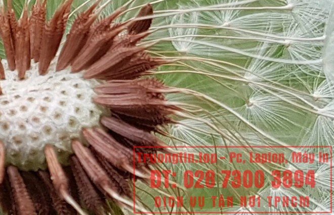 Google&nbsp;Photos&nbsp;hoạt&nbsp;động&nbsp;như&nbsp;thế&nbsp;nào?&nbsp;Làm&nbsp;sao&nbsp;để&nbsp;tận&nbsp;dụng&nbsp;15GB&nbsp;lưu&nbsp;trữ&nbsp;miễn&nbsp;phí&nbsp;hiệu&nbsp;quả&nbsp;nhất?