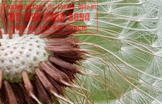 Google&nbsp;Photos&nbsp;hoạt&nbsp;động&nbsp;như&nbsp;thế&nbsp;nào?&nbsp;Làm&nbsp;sao&nbsp;để&nbsp;tận&nbsp;dụng&nbsp;15GB&nbsp;lưu&nbsp;trữ&nbsp;miễn&nbsp;phí&nbsp;hiệu&nbsp;quả&nbsp;nhất?