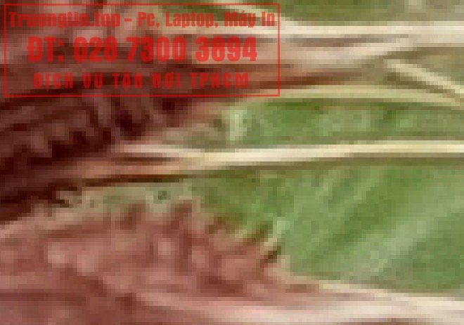 Google&nbsp;Photos&nbsp;hoạt&nbsp;động&nbsp;như&nbsp;thế&nbsp;nào?&nbsp;Làm&nbsp;sao&nbsp;để&nbsp;tận&nbsp;dụng&nbsp;15GB&nbsp;lưu&nbsp;trữ&nbsp;miễn&nbsp;phí&nbsp;hiệu&nbsp;quả&nbsp;nhất?