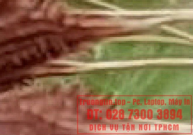 Google&nbsp;Photos&nbsp;hoạt&nbsp;động&nbsp;như&nbsp;thế&nbsp;nào?&nbsp;Làm&nbsp;sao&nbsp;để&nbsp;tận&nbsp;dụng&nbsp;15GB&nbsp;lưu&nbsp;trữ&nbsp;miễn&nbsp;phí&nbsp;hiệu&nbsp;quả&nbsp;nhất?