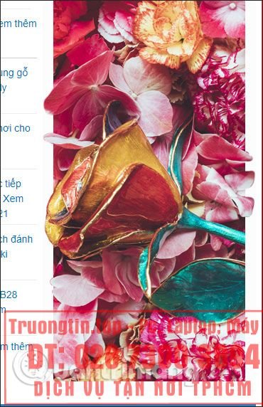 Cách&nbsp;chặn&nbsp;quảng&nbsp;cáo&nbsp;trang&nbsp;web&nbsp;bằng&nbsp;ảnh&nbsp;nghệ&nbsp;thuật