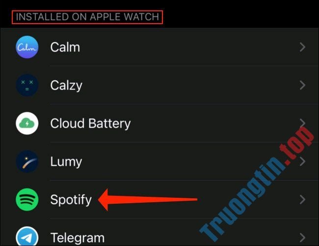Cách download nhạc Spotify về Apple Watch 2 Cách download nhạc Spotify về Apple Watch