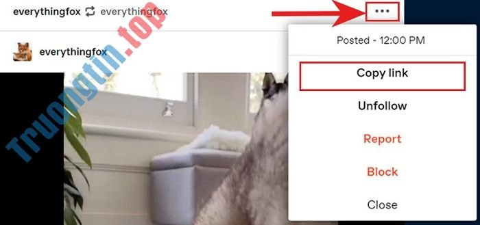 Tumblr là gì? Muốn tải video trên Tumblr làm thế nào? 3 Tumblr là gì? Muốn tải video trên Tumblr làm thế nào?