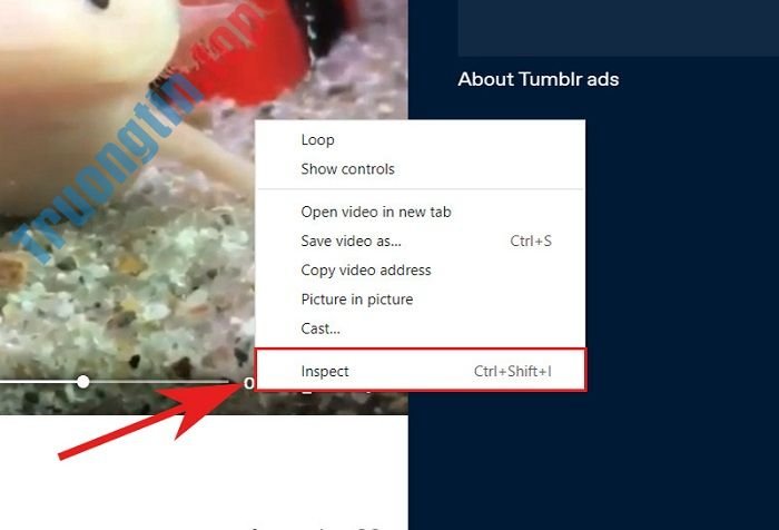 Tumblr là gì? Muốn tải video trên Tumblr làm thế nào? 7 Tumblr là gì? Muốn tải video trên Tumblr làm thế nào?