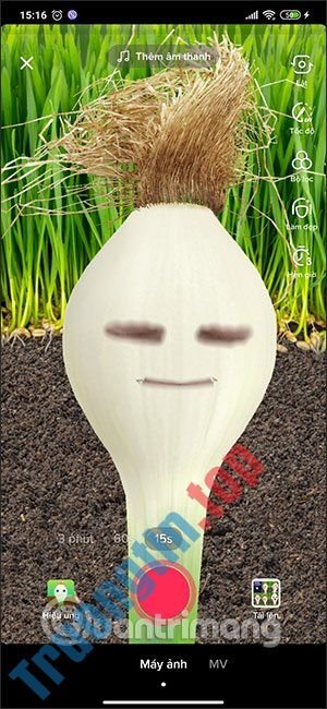 Cách quay video củ hành biết nói trên TikTok