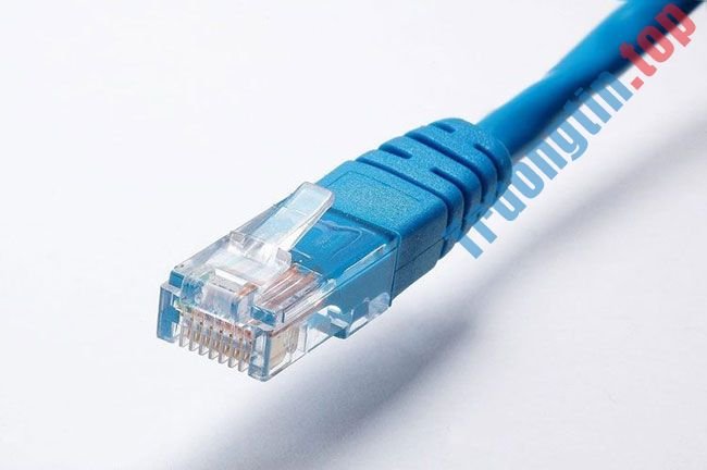 Powerline&nbsp;adapter&nbsp;hay&nbsp;mesh&nbsp;WiFi&nbsp;là&nbsp;sự&nbsp;lựa&nbsp;chọn&nbsp;tốt&nbsp;nhất&nbsp;cho&nbsp;ngôi&nbsp;nhà&nbsp;của&nbsp;bạn?