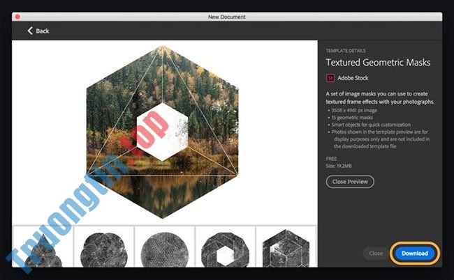 Cách sử dụng template trong Adobe Stock 3 Cách sử dụng template trong Adobe Stock