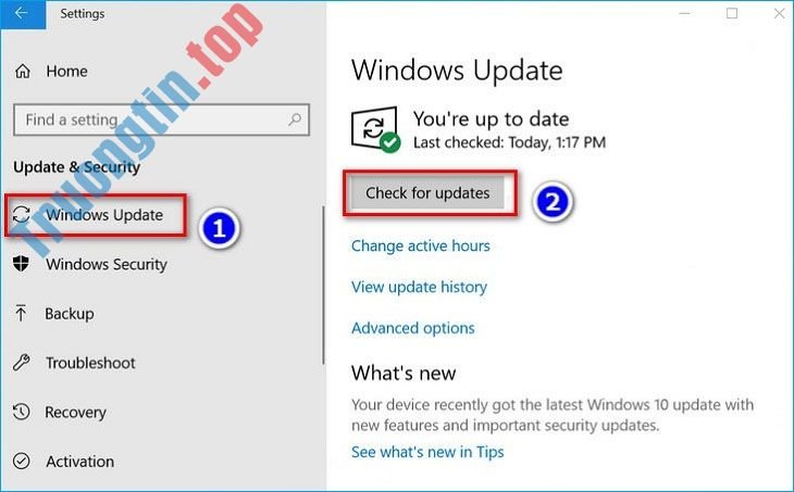 Hướng dẫn nâng cấp lên Windows 11 chính thức từ Windows 10