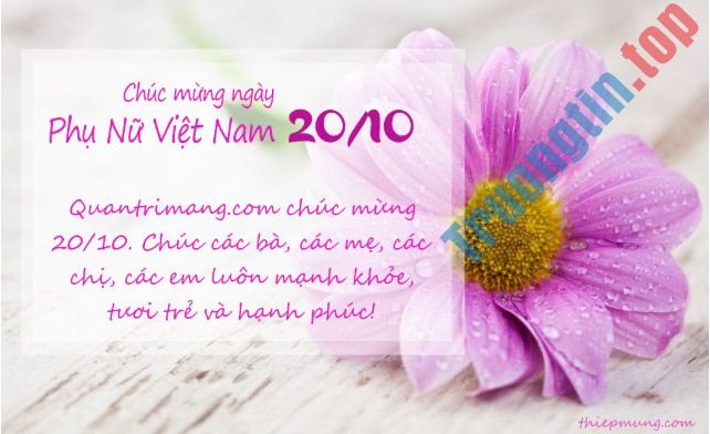 Làm&nbsp;thiệp&nbsp;mừng&nbsp;ngày&nbsp;phụ&nbsp;nữ&nbsp;Việt&nbsp;Nam&nbsp;20-10&nbsp;trực&nbsp;tuyến