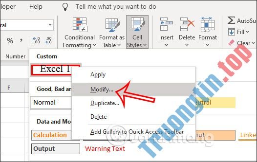 Cách&nbsp;chia&nbsp;sẻ&nbsp;kiểu&nbsp;định&nbsp;dạng&nbsp;ô&nbsp;trong&nbsp;Excel