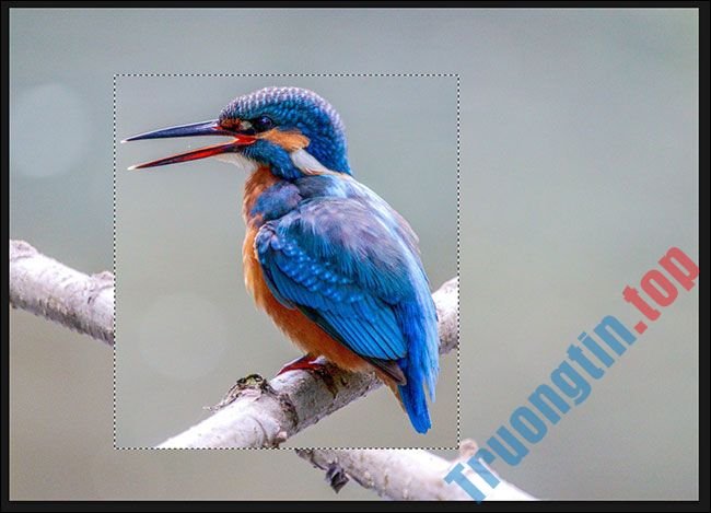 Tổng&nbsp;hợp&nbsp;cách&nbsp;lật&nbsp;hình&nbsp;ảnh&nbsp;trong&nbsp;Adobe&nbsp;Photoshop