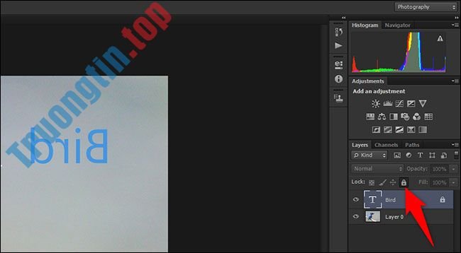 Tổng&nbsp;hợp&nbsp;cách&nbsp;lật&nbsp;hình&nbsp;ảnh&nbsp;trong&nbsp;Adobe&nbsp;Photoshop