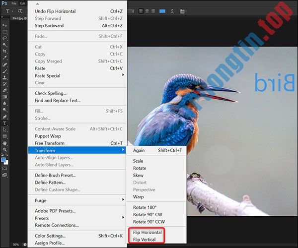 Tổng&nbsp;hợp&nbsp;cách&nbsp;lật&nbsp;hình&nbsp;ảnh&nbsp;trong&nbsp;Adobe&nbsp;Photoshop