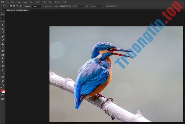Tổng&nbsp;hợp&nbsp;cách&nbsp;lật&nbsp;hình&nbsp;ảnh&nbsp;trong&nbsp;Adobe&nbsp;Photoshop