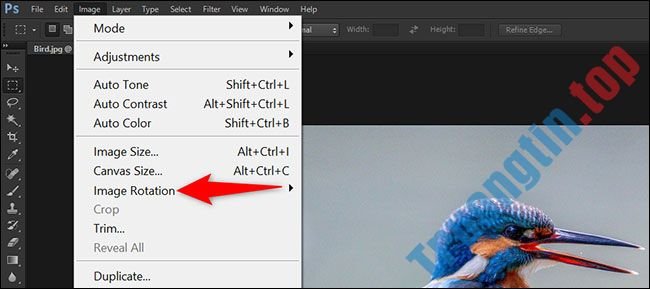 Tổng&nbsp;hợp&nbsp;cách&nbsp;lật&nbsp;hình&nbsp;ảnh&nbsp;trong&nbsp;Adobe&nbsp;Photoshop