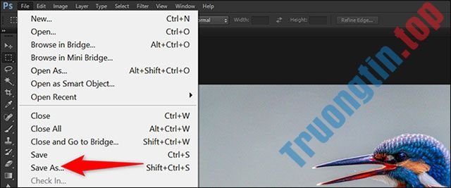 Tổng&nbsp;hợp&nbsp;cách&nbsp;lật&nbsp;hình&nbsp;ảnh&nbsp;trong&nbsp;Adobe&nbsp;Photoshop