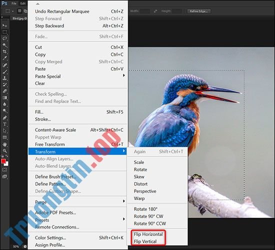 Tổng&nbsp;hợp&nbsp;cách&nbsp;lật&nbsp;hình&nbsp;ảnh&nbsp;trong&nbsp;Adobe&nbsp;Photoshop