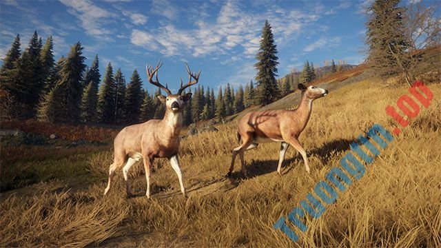 Mời tải theHunter: Call of the Wild miễn phí trên Epic Game Store