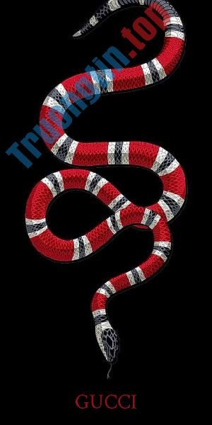 Tải&nbsp;về&nbsp;99+&nbsp;hình&nbsp;nền&nbsp;Gucci,&nbsp;ảnh&nbsp;nền&nbsp;Gucci&nbsp;đẹp