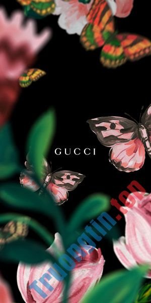 Tải&nbsp;về&nbsp;99+&nbsp;hình&nbsp;nền&nbsp;Gucci,&nbsp;ảnh&nbsp;nền&nbsp;Gucci&nbsp;đẹp
