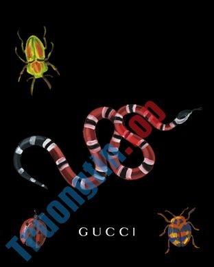 Tải&nbsp;về&nbsp;99+&nbsp;hình&nbsp;nền&nbsp;Gucci,&nbsp;ảnh&nbsp;nền&nbsp;Gucci&nbsp;đẹp