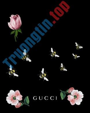 Tải&nbsp;về&nbsp;99+&nbsp;hình&nbsp;nền&nbsp;Gucci,&nbsp;ảnh&nbsp;nền&nbsp;Gucci&nbsp;đẹp