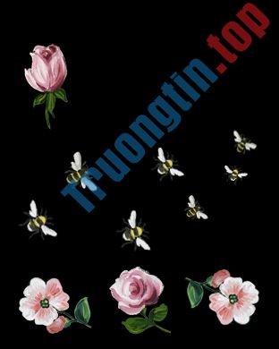 Tải&nbsp;về&nbsp;99+&nbsp;hình&nbsp;nền&nbsp;Gucci,&nbsp;ảnh&nbsp;nền&nbsp;Gucci&nbsp;đẹp