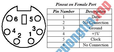 Những&nbsp;cổng&nbsp;kết&nbsp;nối&nbsp;thường&nbsp;thấy&nbsp;trên&nbsp;máy&nbsp;tính&nbsp;và&nbsp;chức&nbsp;năng&nbsp;của&nbsp;chúng