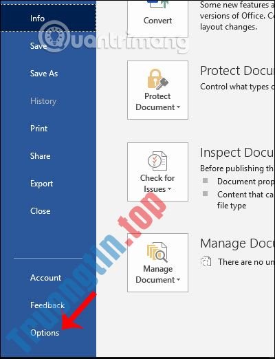 Cách&nbsp;tắt&nbsp;kiểm&nbsp;tra&nbsp;chính&nbsp;tả&nbsp;trong&nbsp;Word