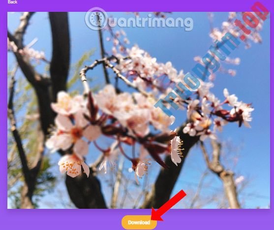 Cách&nbsp;làm&nbsp;mờ&nbsp;ảnh&nbsp;online&nbsp;nhanh&nbsp;chóng