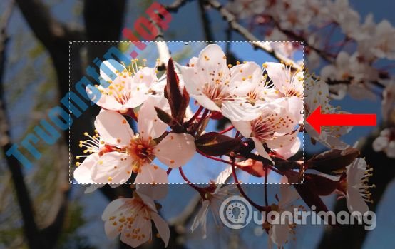 Cách&nbsp;làm&nbsp;mờ&nbsp;ảnh&nbsp;online&nbsp;nhanh&nbsp;chóng