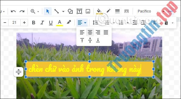 Cách&nbsp;viết&nbsp;chữ&nbsp;lên&nbsp;ảnh&nbsp;trong&nbsp;Google&nbsp;Docs