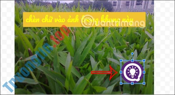 Cách&nbsp;viết&nbsp;chữ&nbsp;lên&nbsp;ảnh&nbsp;trong&nbsp;Google&nbsp;Docs