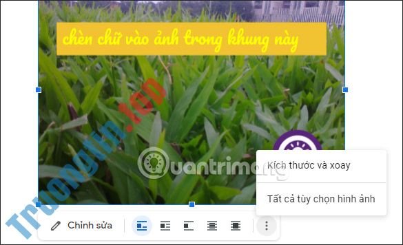 Cách&nbsp;viết&nbsp;chữ&nbsp;lên&nbsp;ảnh&nbsp;trong&nbsp;Google&nbsp;Docs