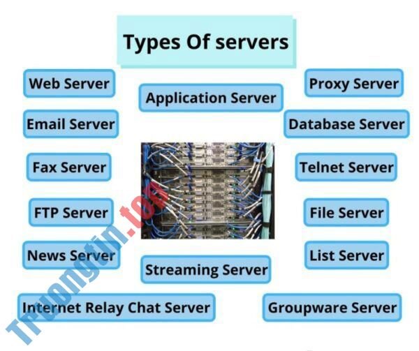 Sự khác biệt giữa Host và Server