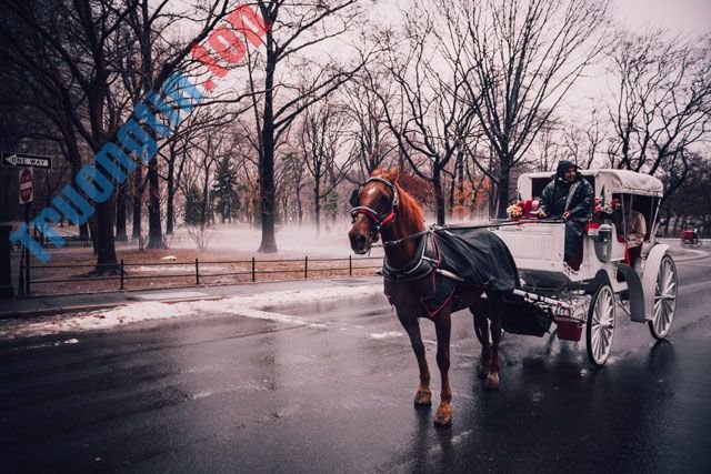 Tổng&nbsp;hợp&nbsp;hình&nbsp;nền&nbsp;mùa&nbsp;đông&nbsp;2022&nbsp;cho&nbsp;máy&nbsp;tính