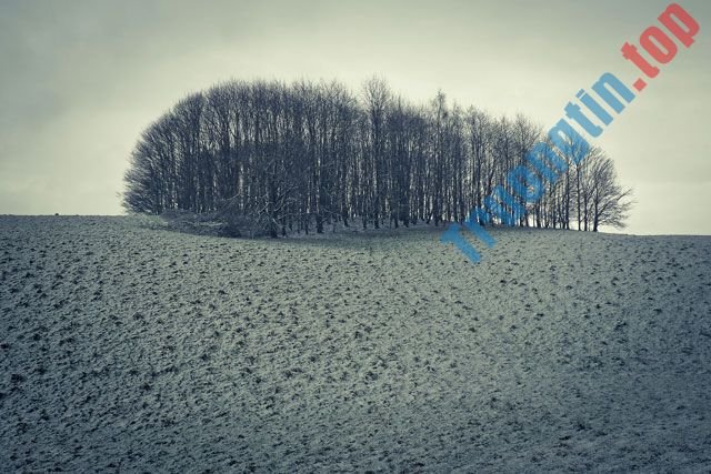 Tổng&nbsp;hợp&nbsp;hình&nbsp;nền&nbsp;mùa&nbsp;đông&nbsp;2022&nbsp;cho&nbsp;máy&nbsp;tính