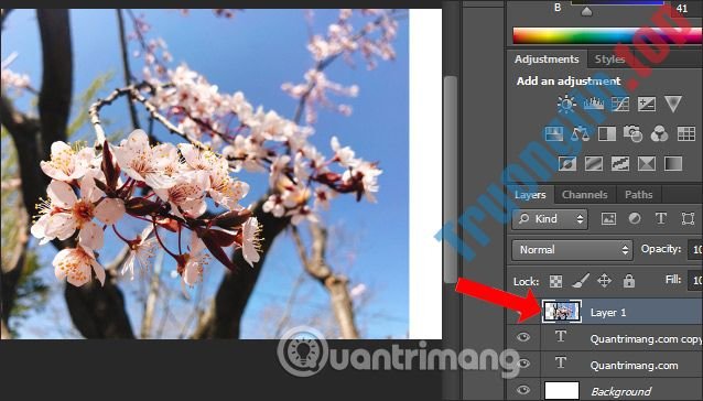 Cách&nbsp;lồng&nbsp;ghép&nbsp;hình&nbsp;ảnh&nbsp;vào&nbsp;chữ&nbsp;trên&nbsp;Photoshop