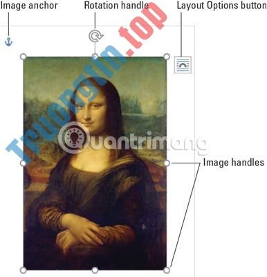 Cách&nbsp;thêm&nbsp;đồ&nbsp;họa&nbsp;vào&nbsp;tài&nbsp;liệu&nbsp;Word&nbsp;2019