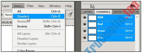 15&nbsp;vấn&nbsp;đề&nbsp;thường&nbsp;gặp&nbsp;trong&nbsp;Photoshop&nbsp;và&nbsp;cách&nbsp;khắc&nbsp;phục&nbsp;cơ&nbsp;bản