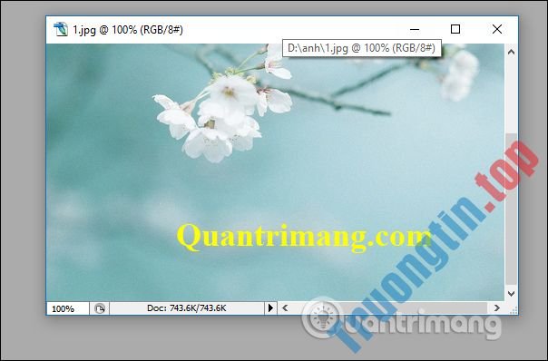 Cách&nbsp;xóa&nbsp;chữ&nbsp;trên&nbsp;ảnh&nbsp;bằng&nbsp;Photoshop