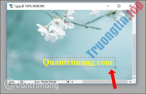 Cách&nbsp;xóa&nbsp;chữ&nbsp;trên&nbsp;ảnh&nbsp;bằng&nbsp;Photoshop
