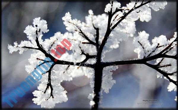 Theme&nbsp;Giáng&nbsp;Sinh&nbsp;cho&nbsp;Windows&nbsp;10&nbsp;trên&nbsp;Microsoft&nbsp;Store