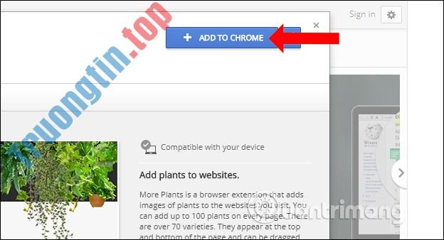 Cách&nbsp;đổi&nbsp;giao&nbsp;diện&nbsp;trang&nbsp;web&nbsp;trên&nbsp;Chrome&nbsp;bằng&nbsp;More&nbsp;Plants