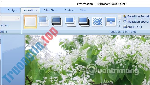 Cách&nbsp;tạo&nbsp;album&nbsp;ảnh&nbsp;trên&nbsp;PowerPoint&nbsp;kèm&nbsp;hiệu&nbsp;ứng